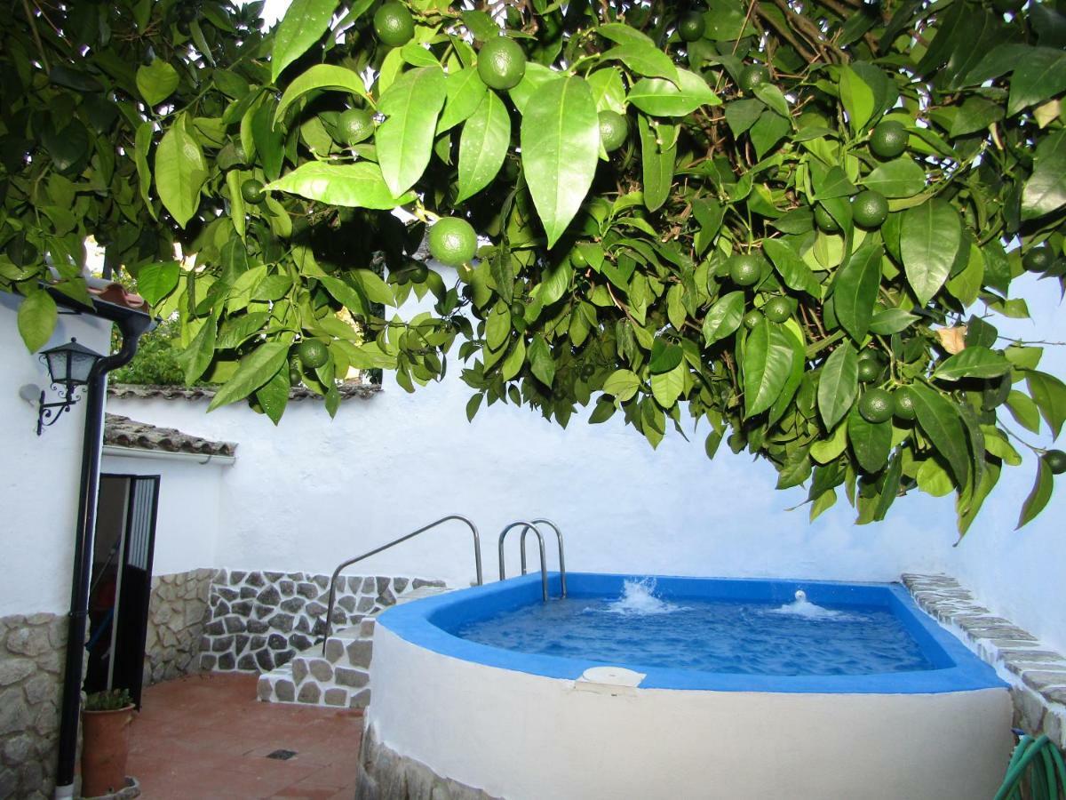 グラサレマ La Casa 5ヴィラ エクステリア 写真